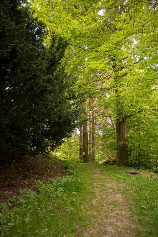 App 622 Panoramic Hohegeiss Mit Wlan Terrassenhaus Lejlighed Braunlage Eksteriør billede