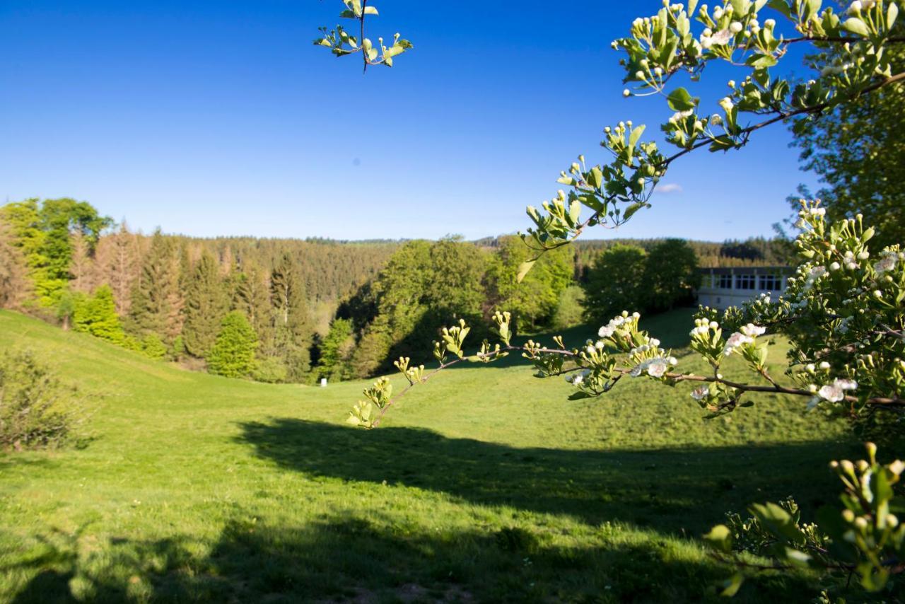 App 622 Panoramic Hohegeiss Mit Wlan Terrassenhaus Lejlighed Braunlage Eksteriør billede